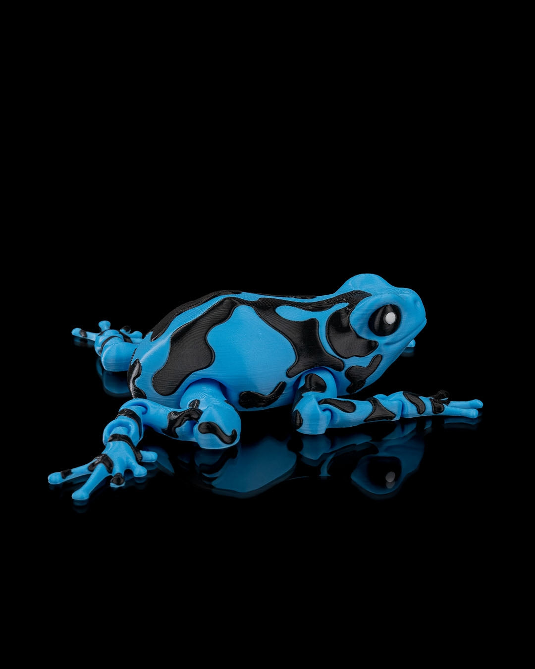 Meet Darcy, the Poison Dart Frog! 🐸🌈