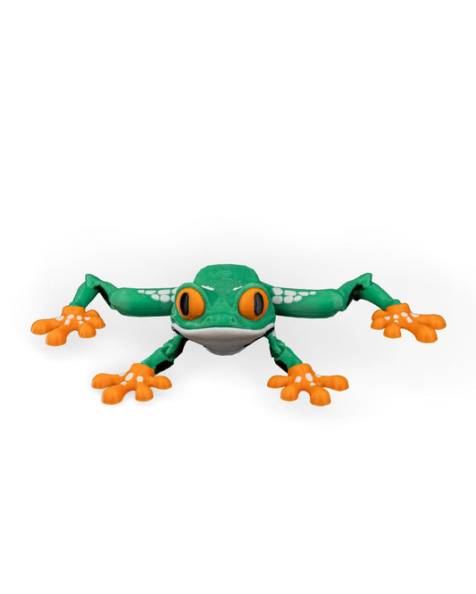 Meet Reed, the Red Eyed Tree Frog! 🐸👀