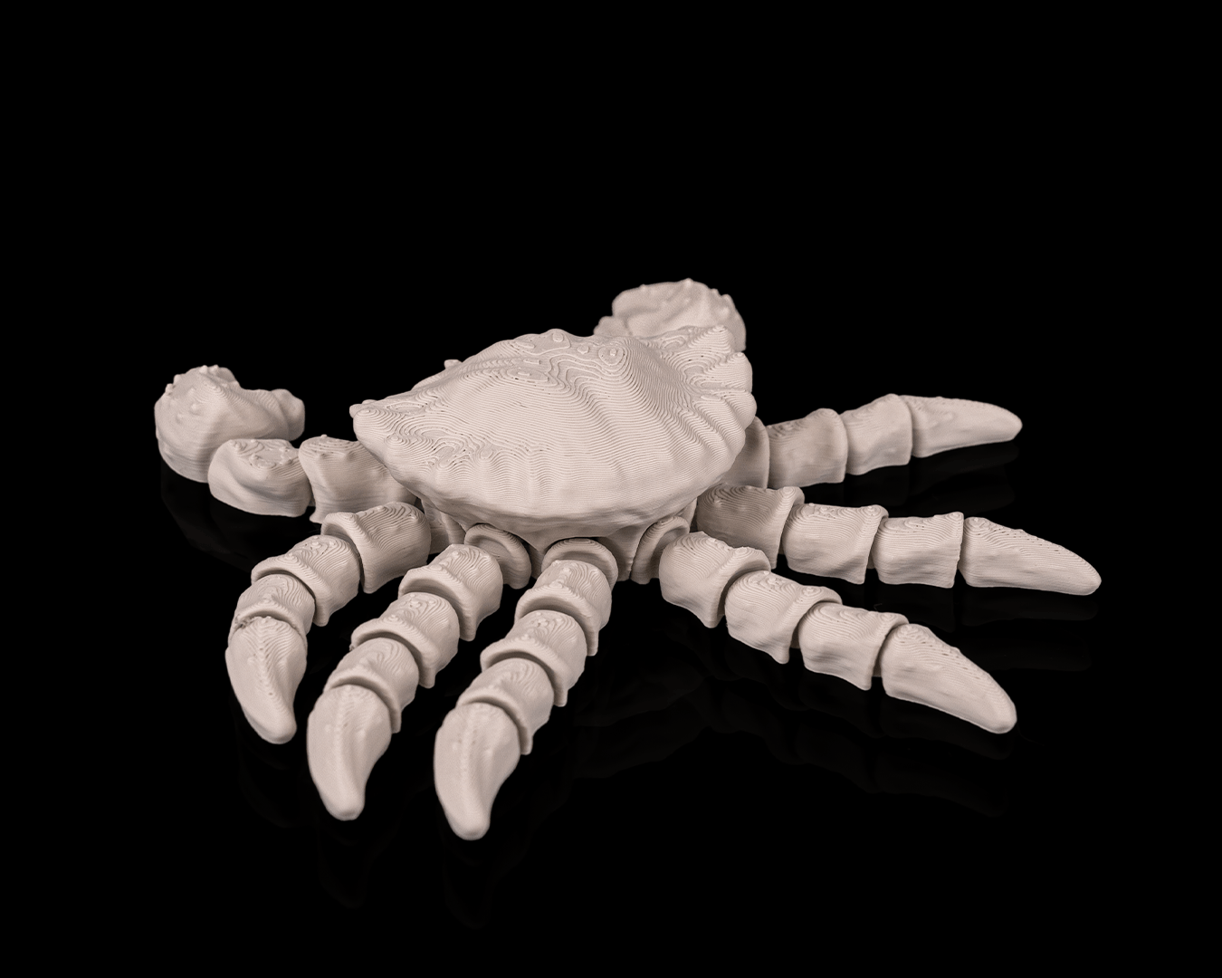 Skeleton Crab – 3D Printed Ocean Skeleton Model