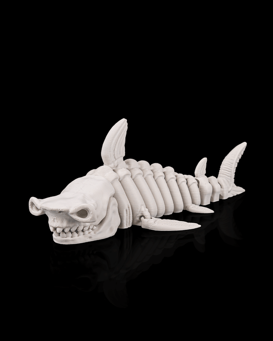 Skeleton Shark – 3D Printed Ocean Skeleton Model