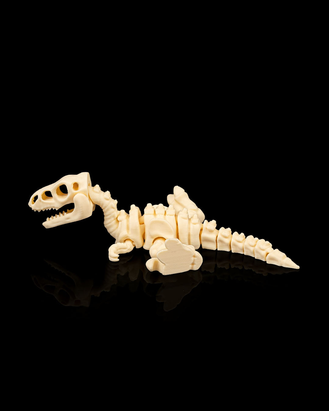 Skeleton Velociraptor – 3D Printed Dinosaur Skeleton Model