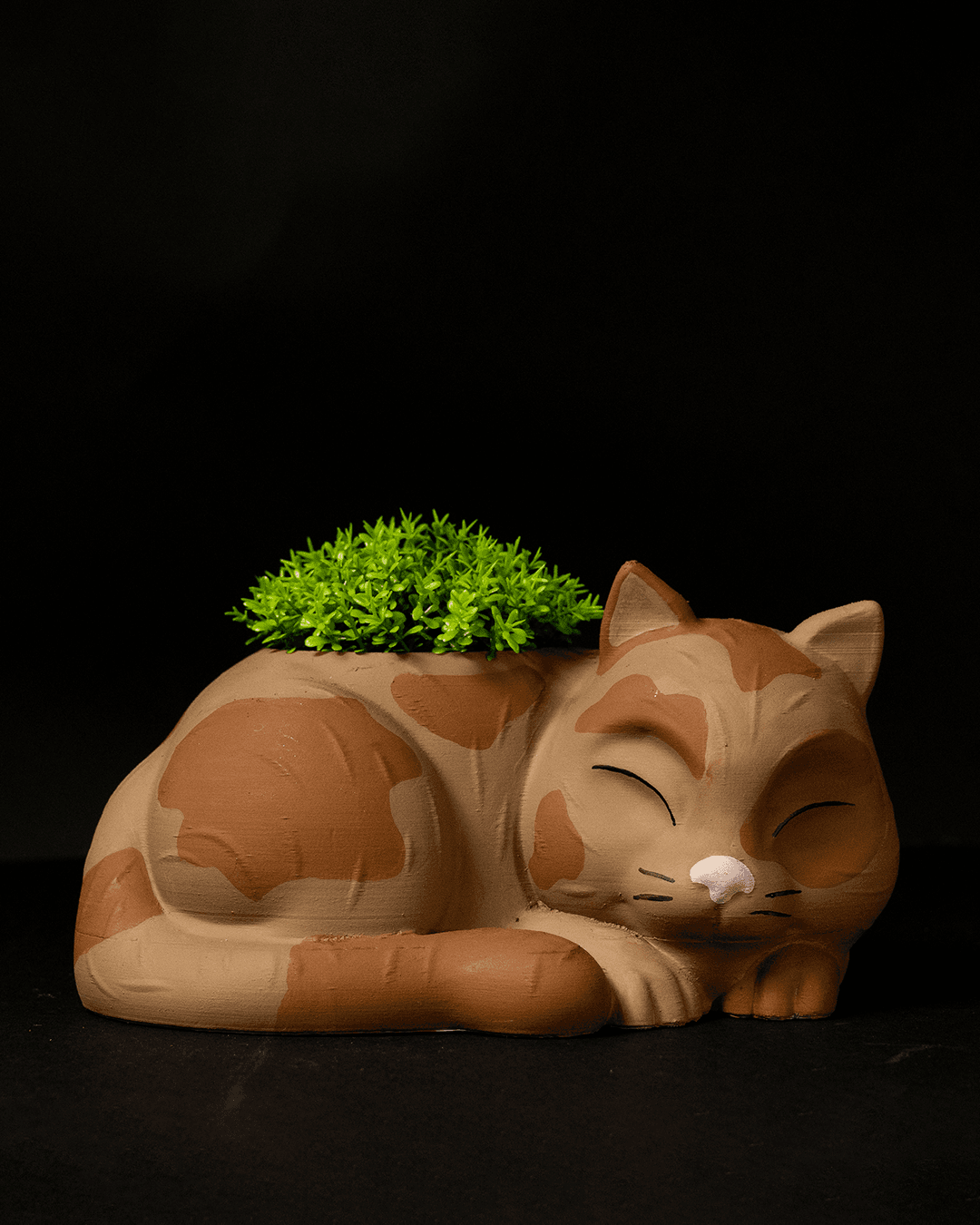 Cat-shaped planter with a small plant on a black background