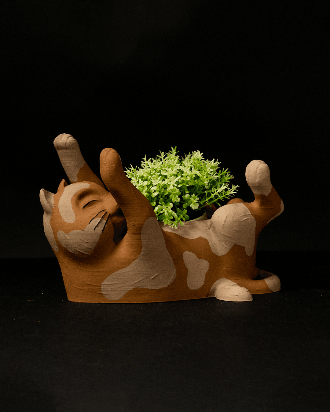 Cat-shaped ceramic planter with a small green plant on a black background