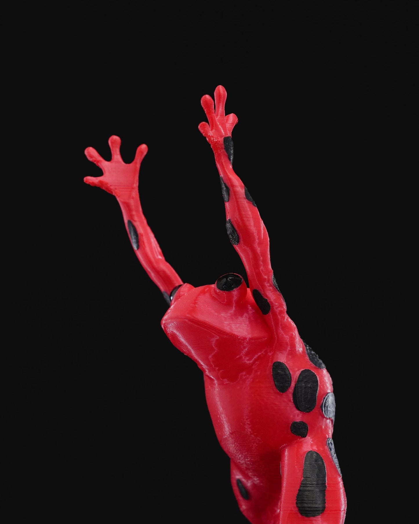 3D Printed Dart Frog Wine Bottle Holder – Colorful Amphibian Decor & Unique Gift