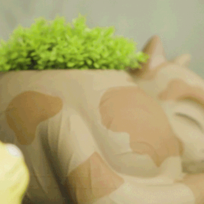 CAT_Planter