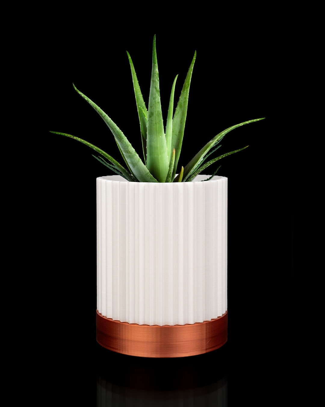 3D Printed Cylindrix Wall Planter – Modern Vertical Plant Holder Set of 3