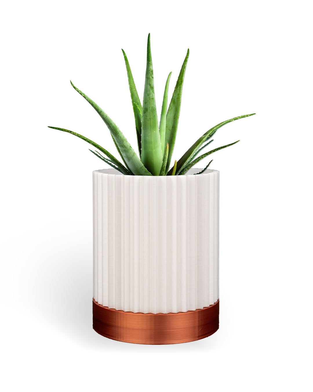 3D Printed Cylindrix Wall Planter – Modern Vertical Plant Holder Set of 3