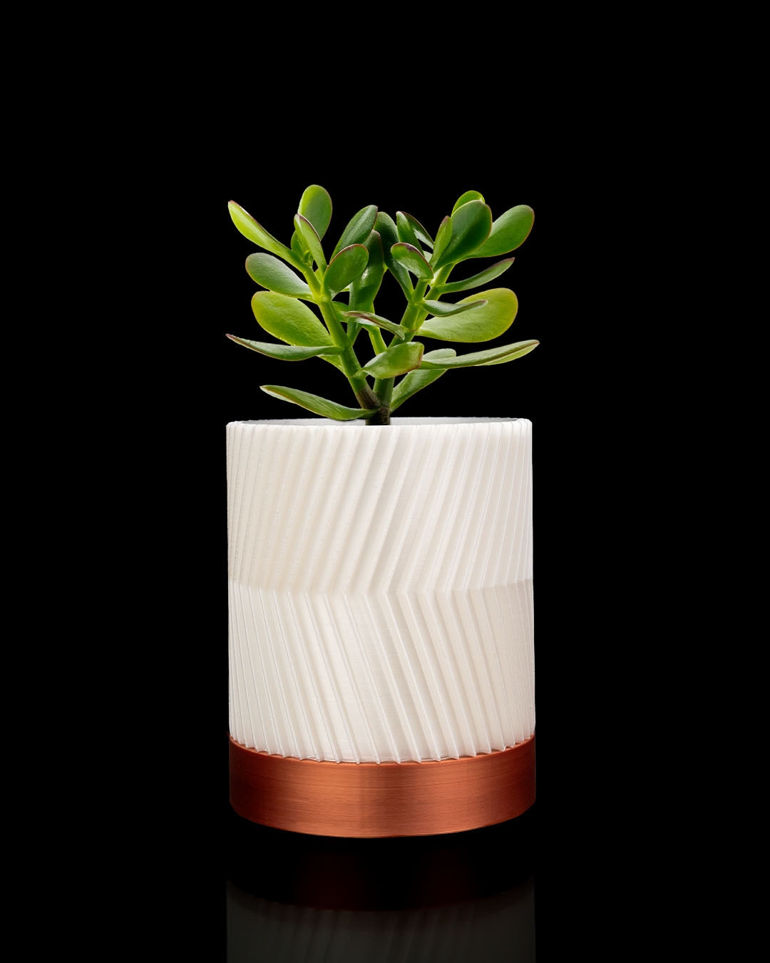 3D Printed Cylindrix Wall Planter – Modern Vertical Plant Holder Set of 3