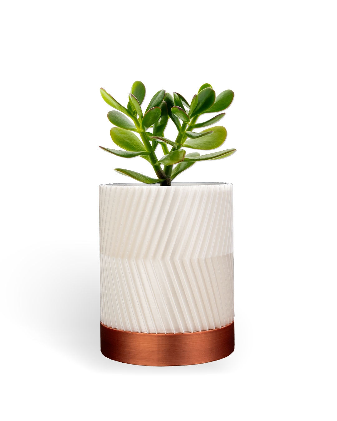 3D Printed Cylindrix Wall Planter – Modern Vertical Plant Holder Set of 3