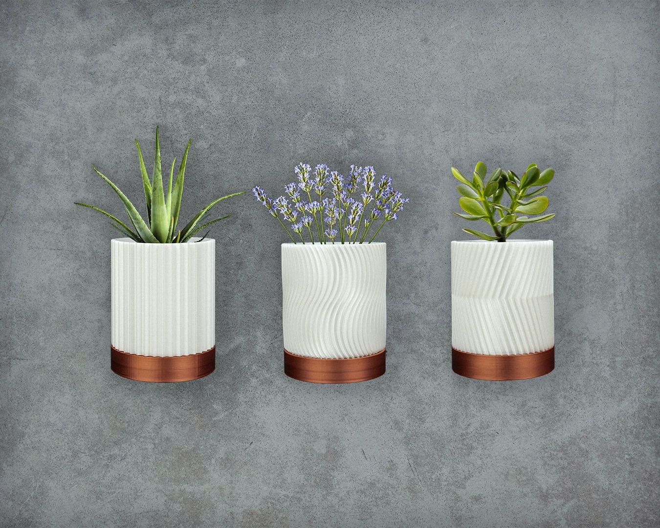 3D Printed Cylindrix Wall Planter – Modern Vertical Plant Holder Set of 3