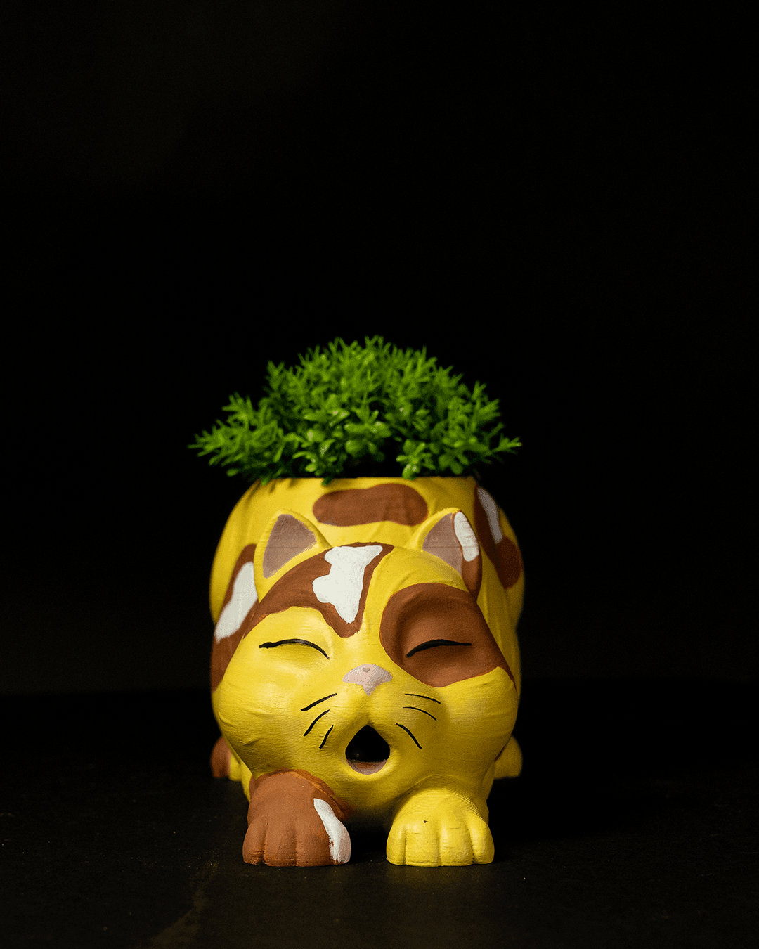 Cat-shaped planter with a small plant on a black background