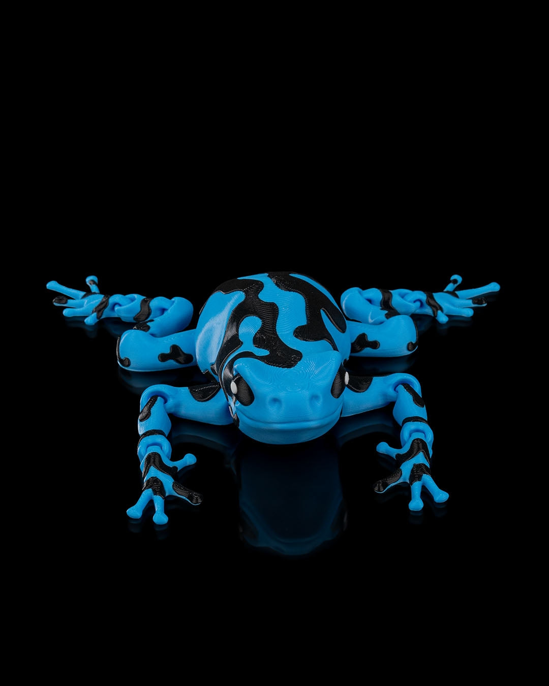 Meet Darcy, the Poison Dart Frog! 🐸🌈