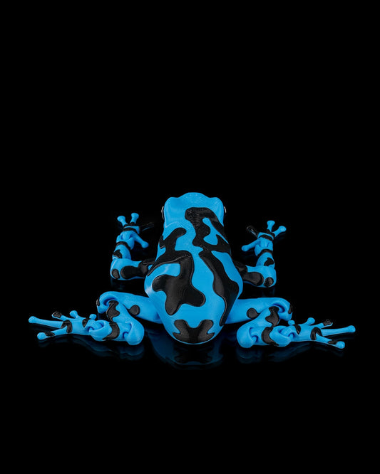 Meet Darcy, the Poison Dart Frog! 🐸🌈