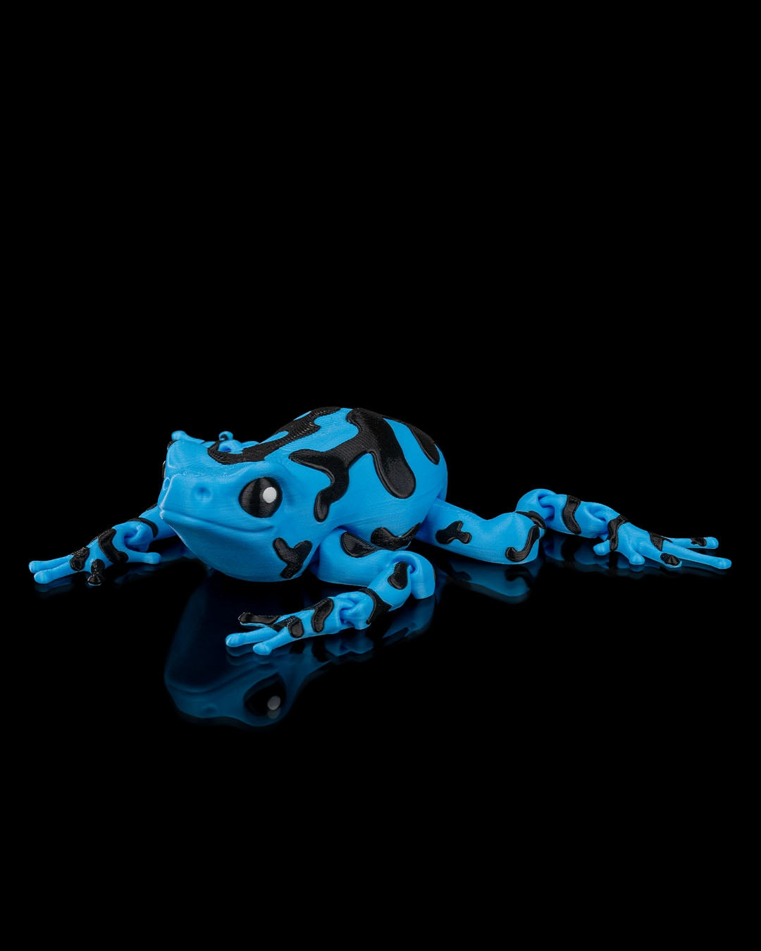 Meet Darcy, the Poison Dart Frog! 🐸🌈