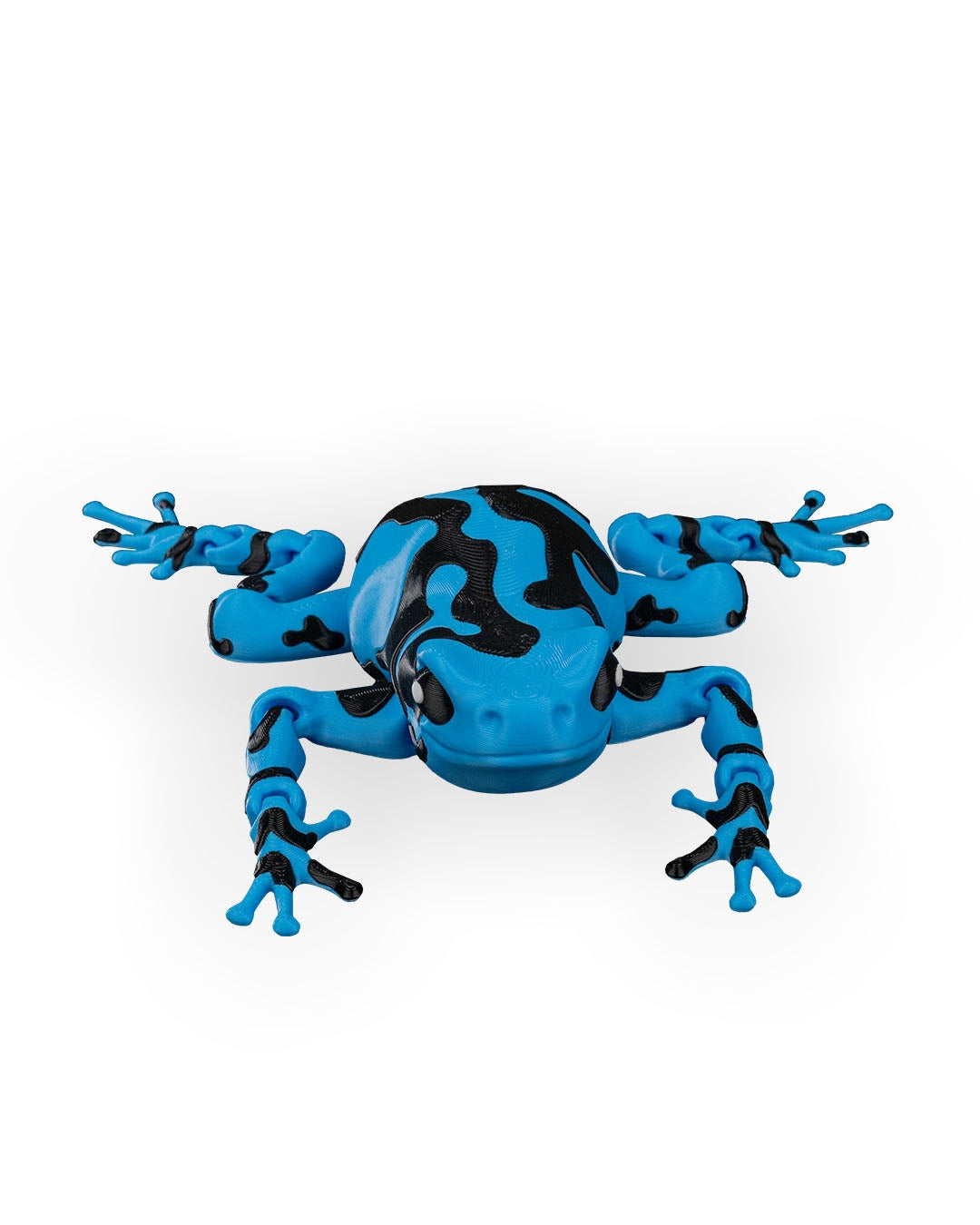 Meet Darcy, the Poison Dart Frog! 🐸🌈