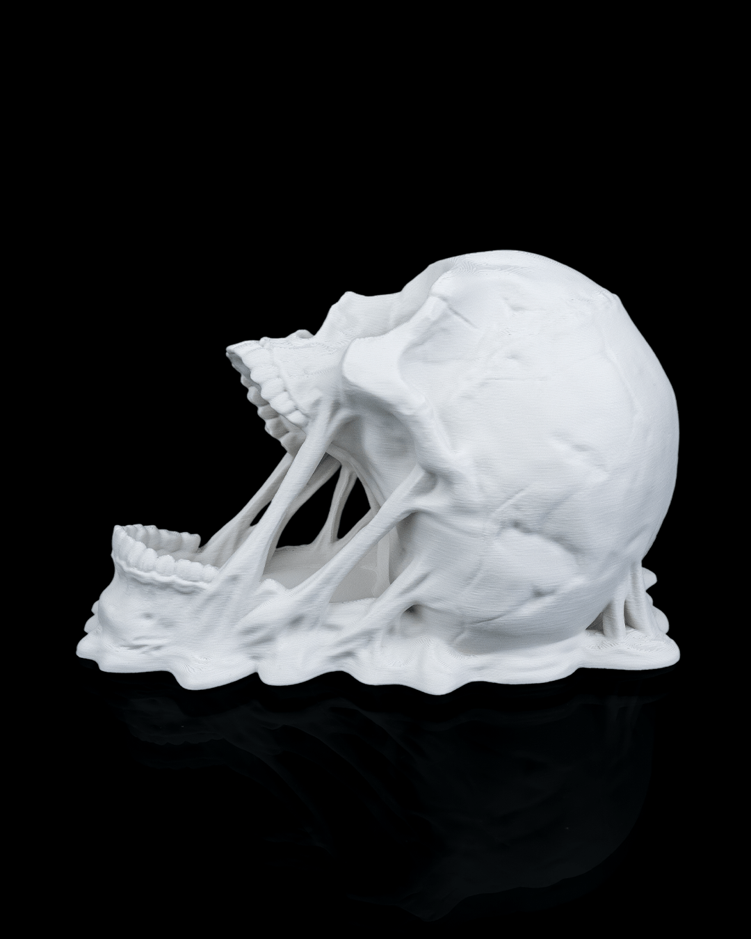 White ceramic sculpture of a shell with intricate details on a black background