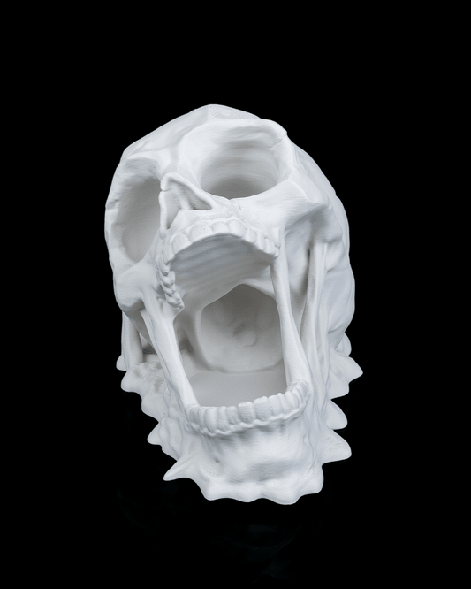 3D printed Doom Skull Dice Tower and tray for tabletop gaming, made in Ottawa, Canada.