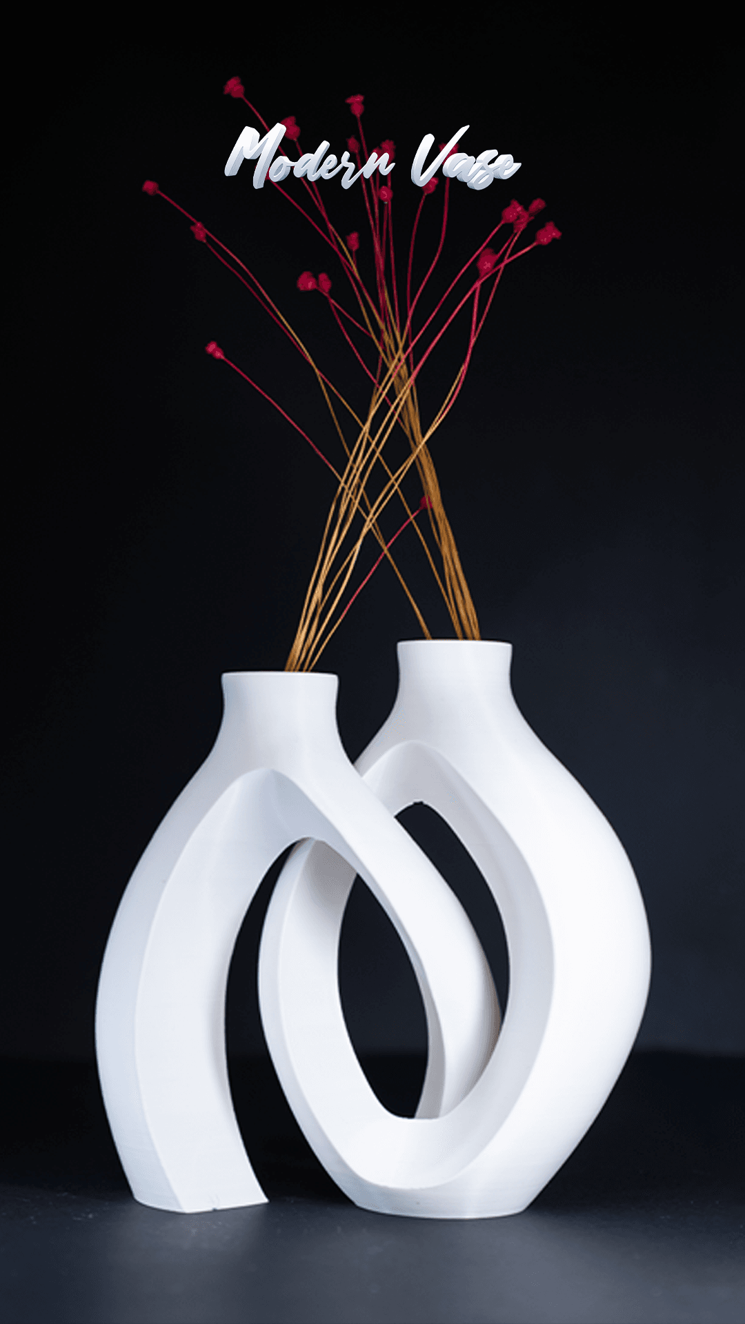 Elevate Your Space with the Modern Chiq Vase! 🌿✨