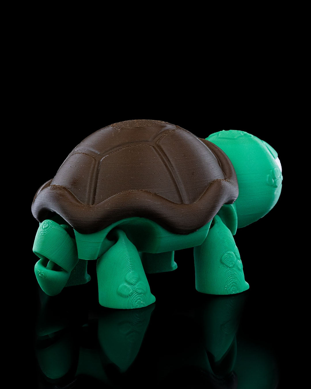 (Not) Surprised Articulated Turtle – 3D Printed Fidget & Desk Buddy
