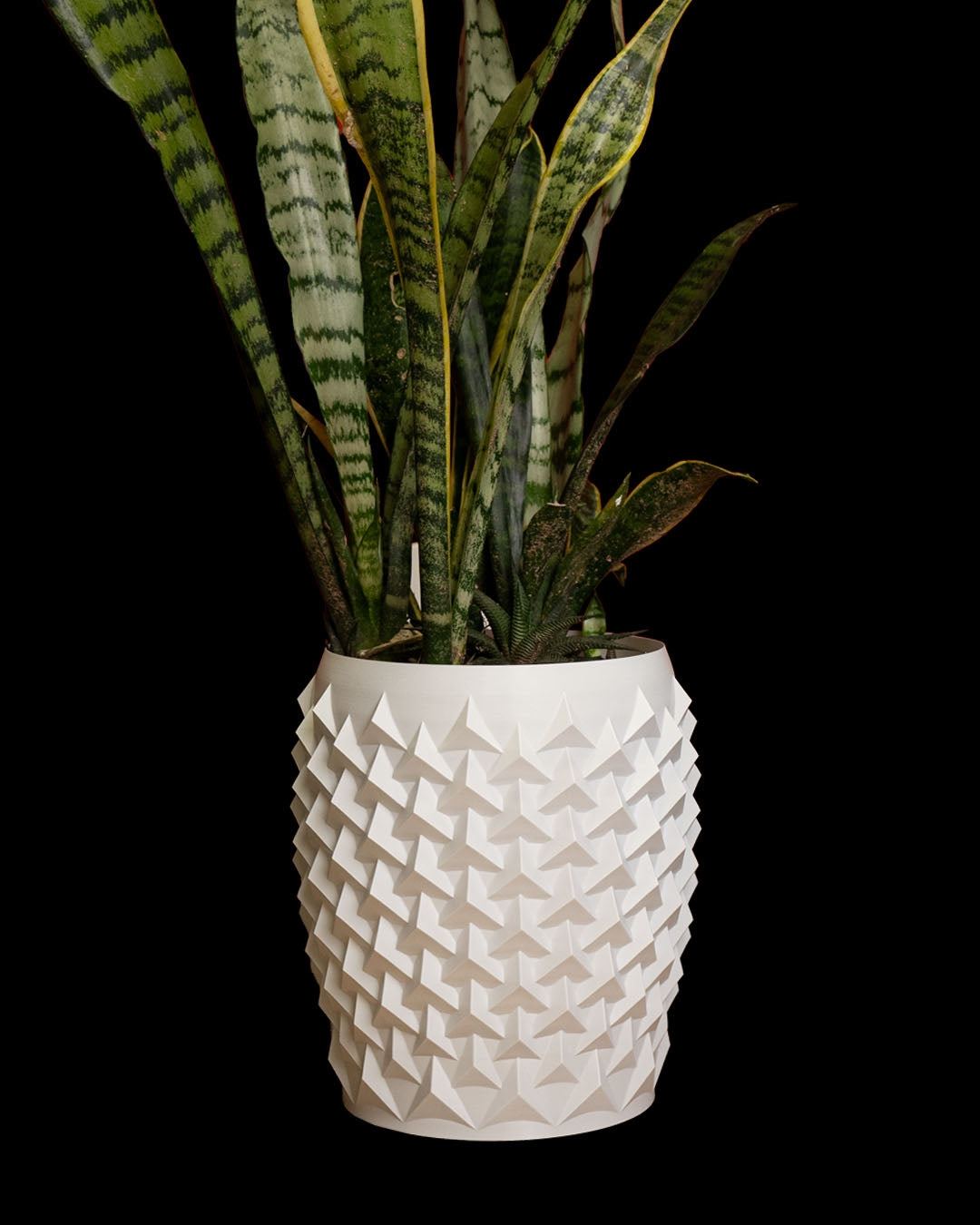 3D Printed Pointy Flower Pot – Modern Geometric Planter for Plants & Succulents
