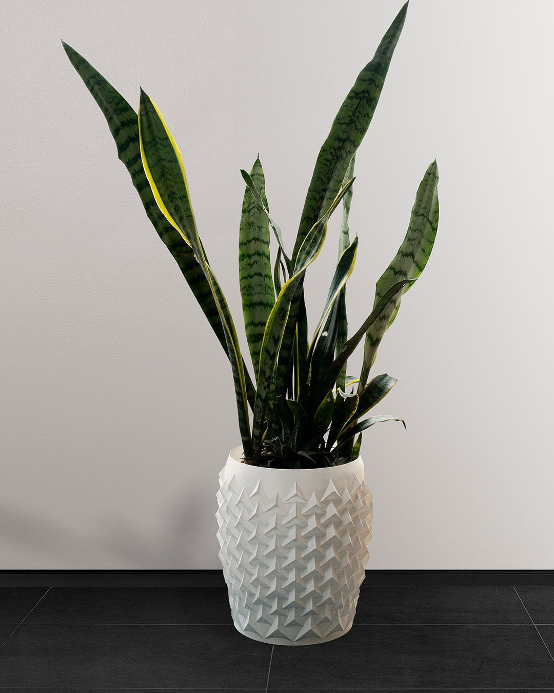 3D Printed Pointy Flower Pot – Modern Geometric Planter for Plants & Succulents
