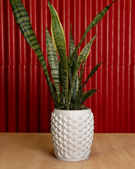 3D Printed Pointy Flower Pot – Modern Geometric Planter for Plants & Succulents