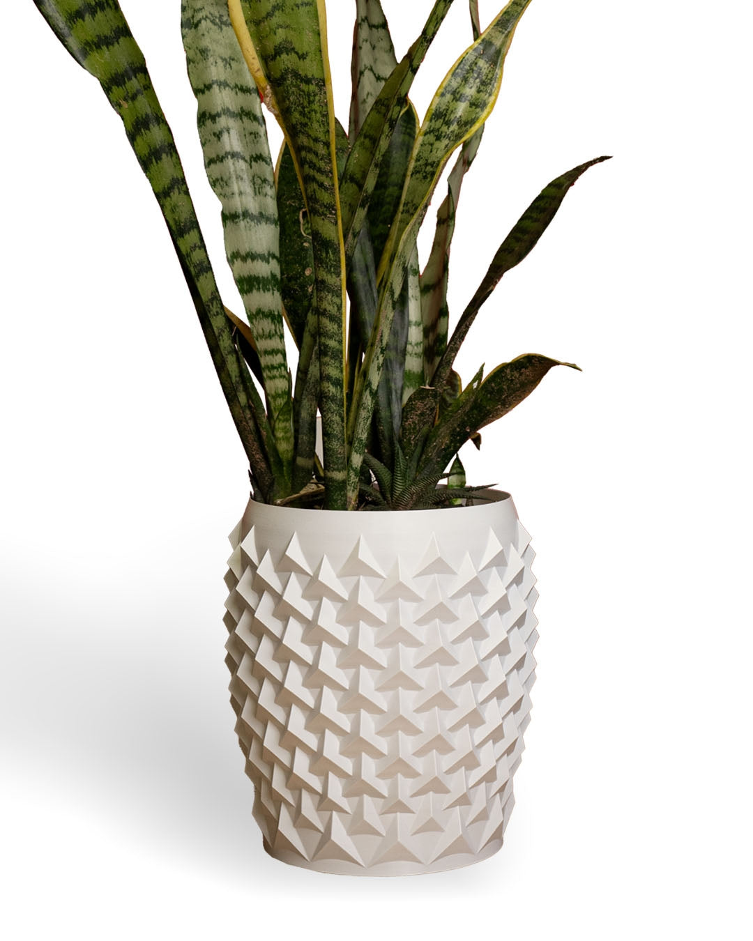 3D Printed Pointy Flower Pot – Modern Geometric Planter for Plants & Succulents