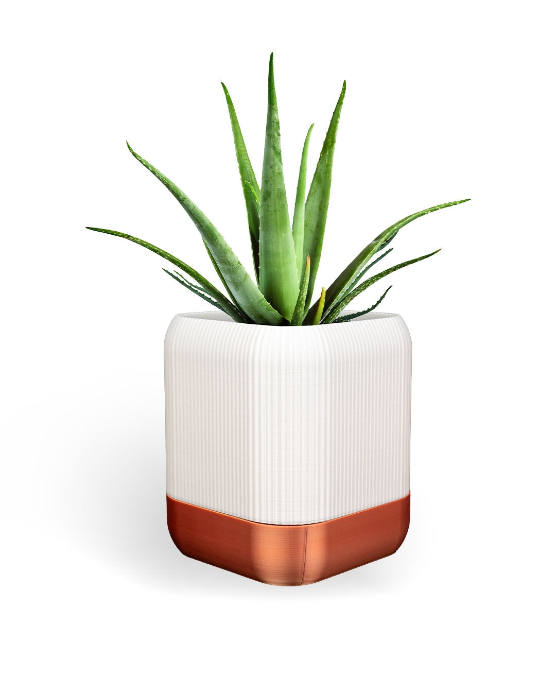 3D Printed Quadra Self-Watering Planter – Modern Square Plant Pot