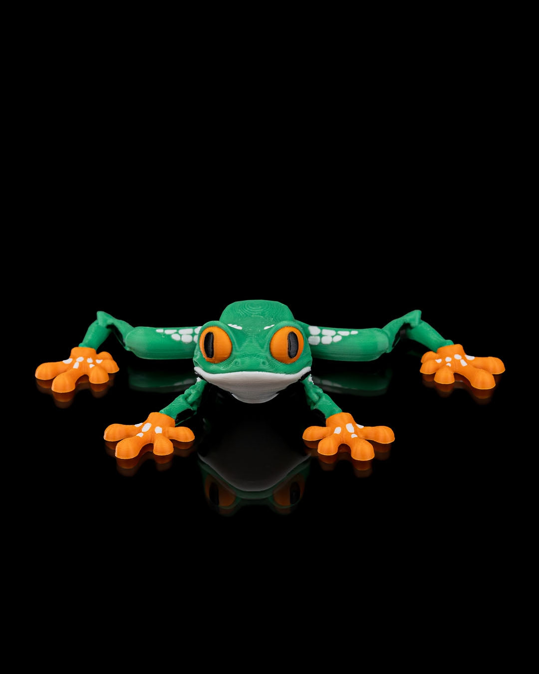 Meet Reed, the Red Eyed Tree Frog! 🐸👀