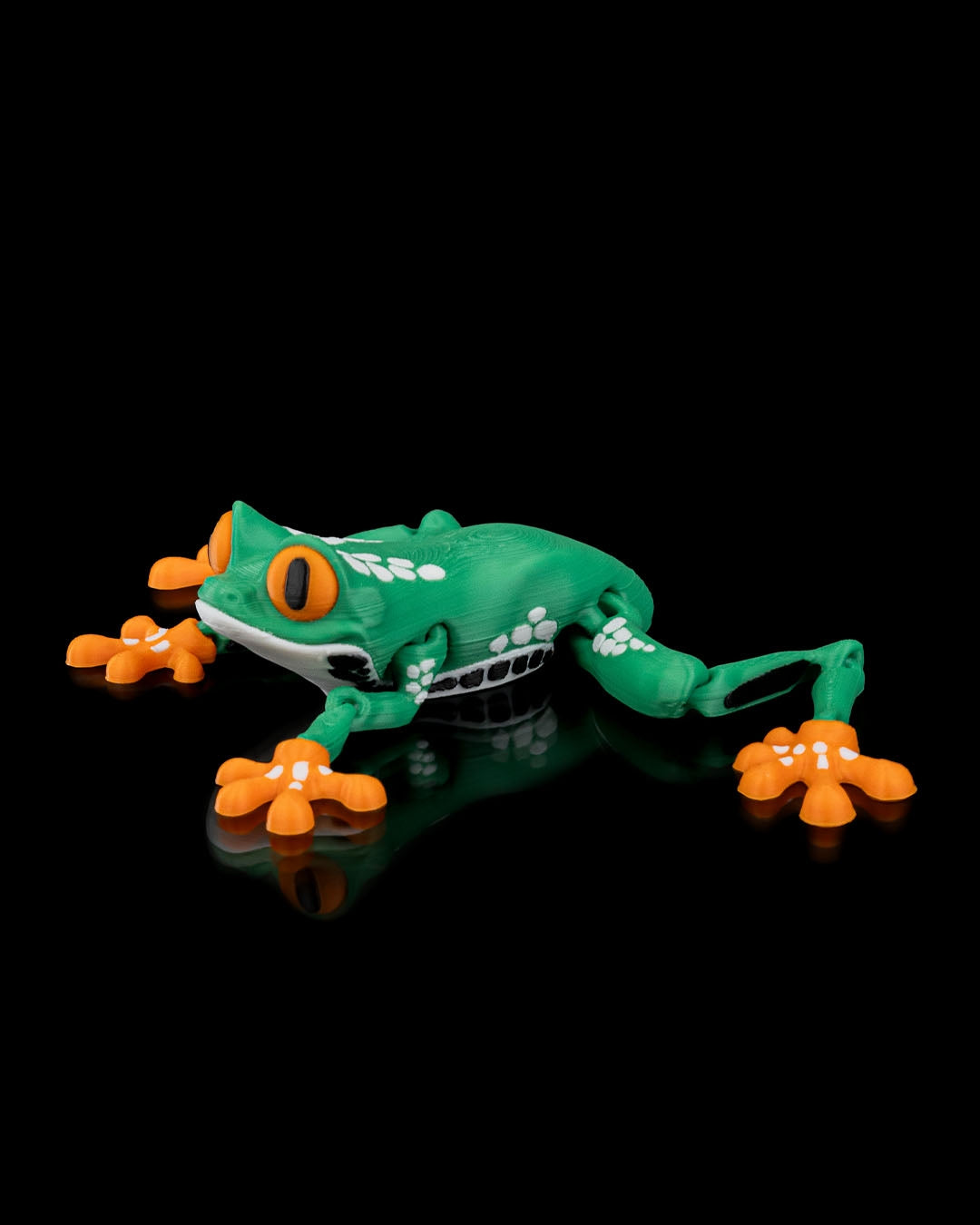 Meet Reed, the Red Eyed Tree Frog! 🐸👀