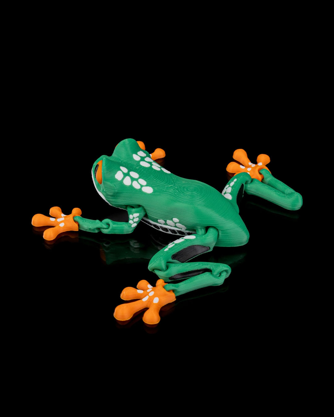 Meet Reed, the Red Eyed Tree Frog! 🐸👀