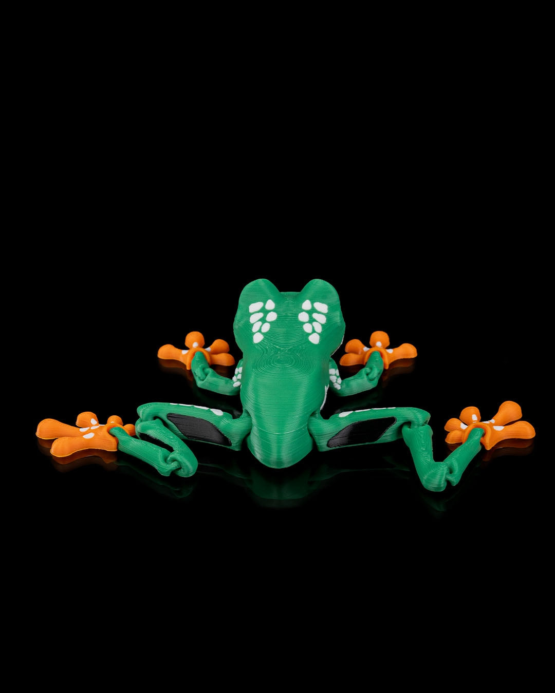 Meet Reed, the Red Eyed Tree Frog! 🐸👀