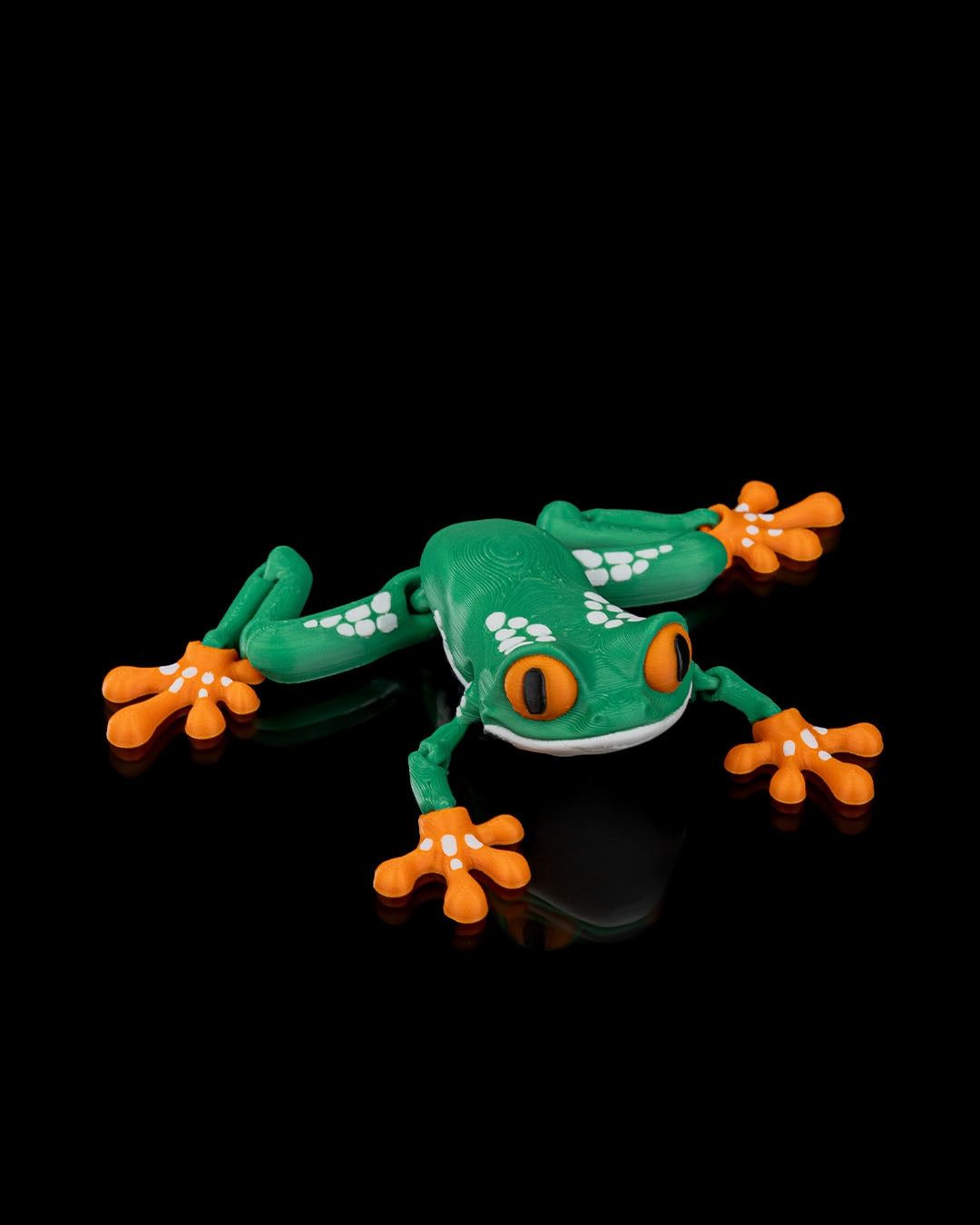 Meet Reed, the Red Eyed Tree Frog! 🐸👀