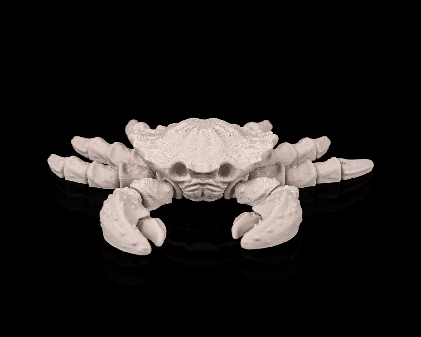 3D printed Skeleton Crab model with unique skeletal detail. Available in toy/decor or aquarium-ready versions. Made locally in Ottawa.