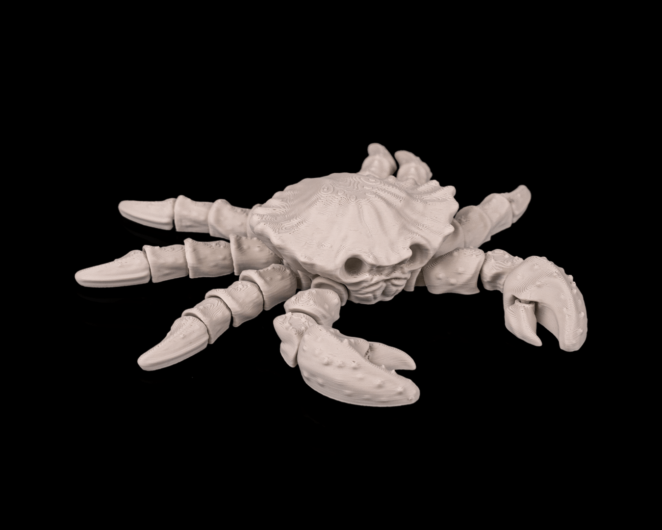 Skeleton Crab – 3D Printed Ocean Skeleton Model