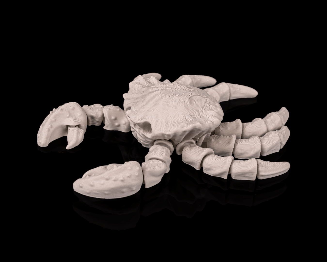 Skeleton Crab – 3D Printed Ocean Skeleton Model