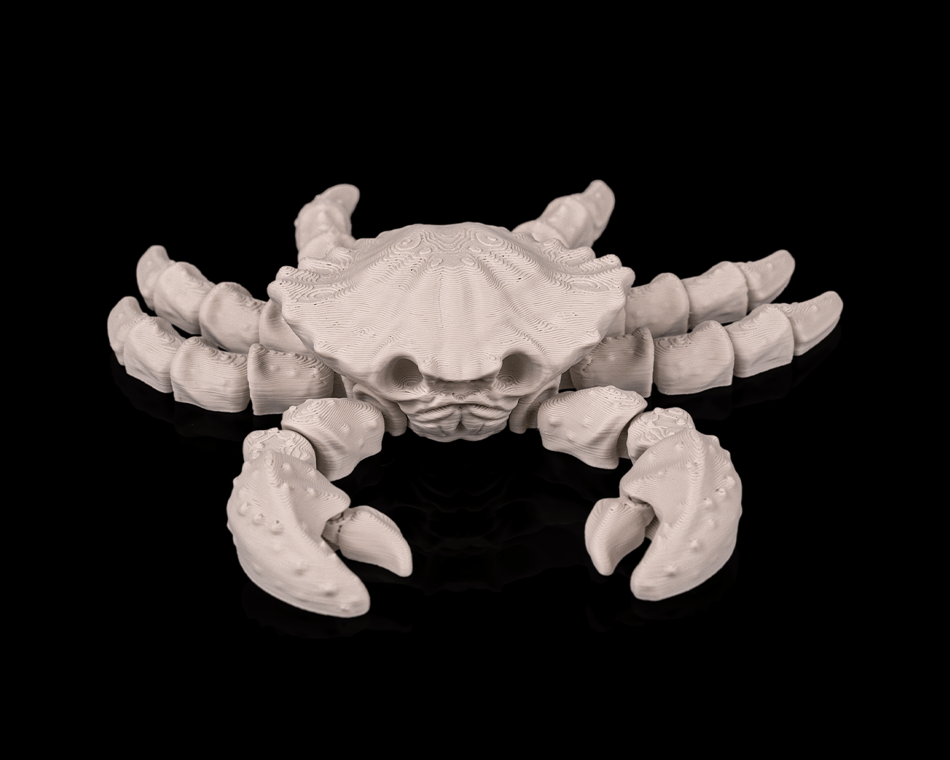 Skeleton Crab – 3D Printed Ocean Skeleton Model