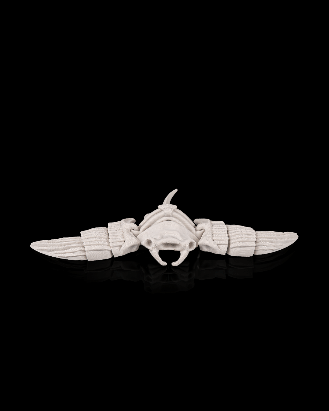 White manta ray object on a black background