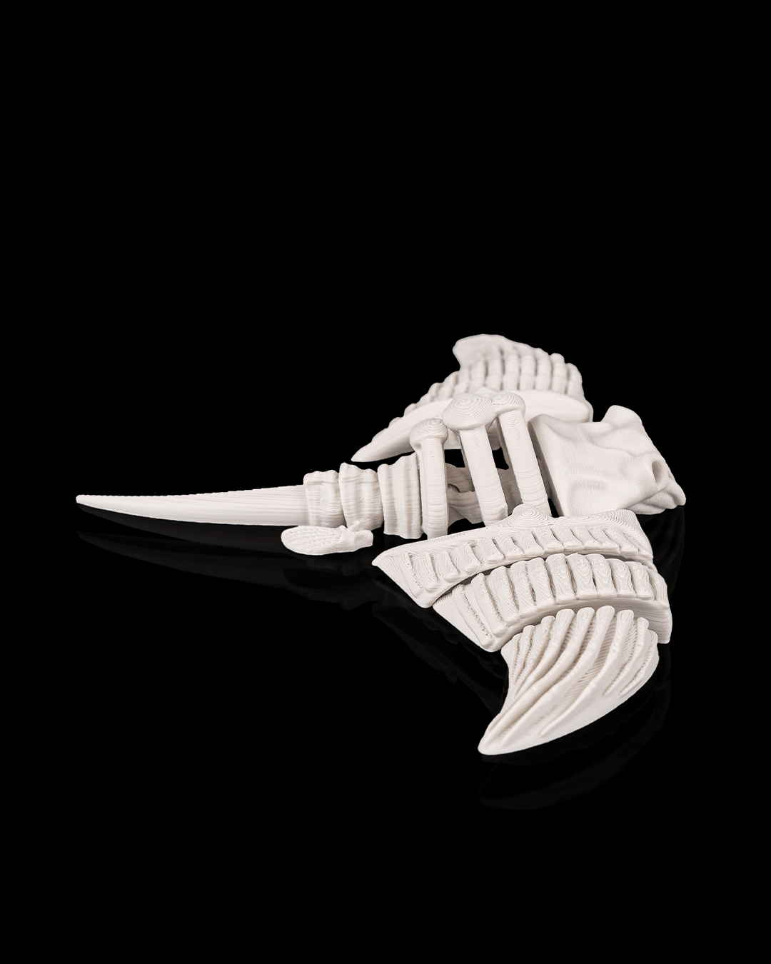 Skeleton Manta Ray – 3D Printed Ocean Skeleton Model