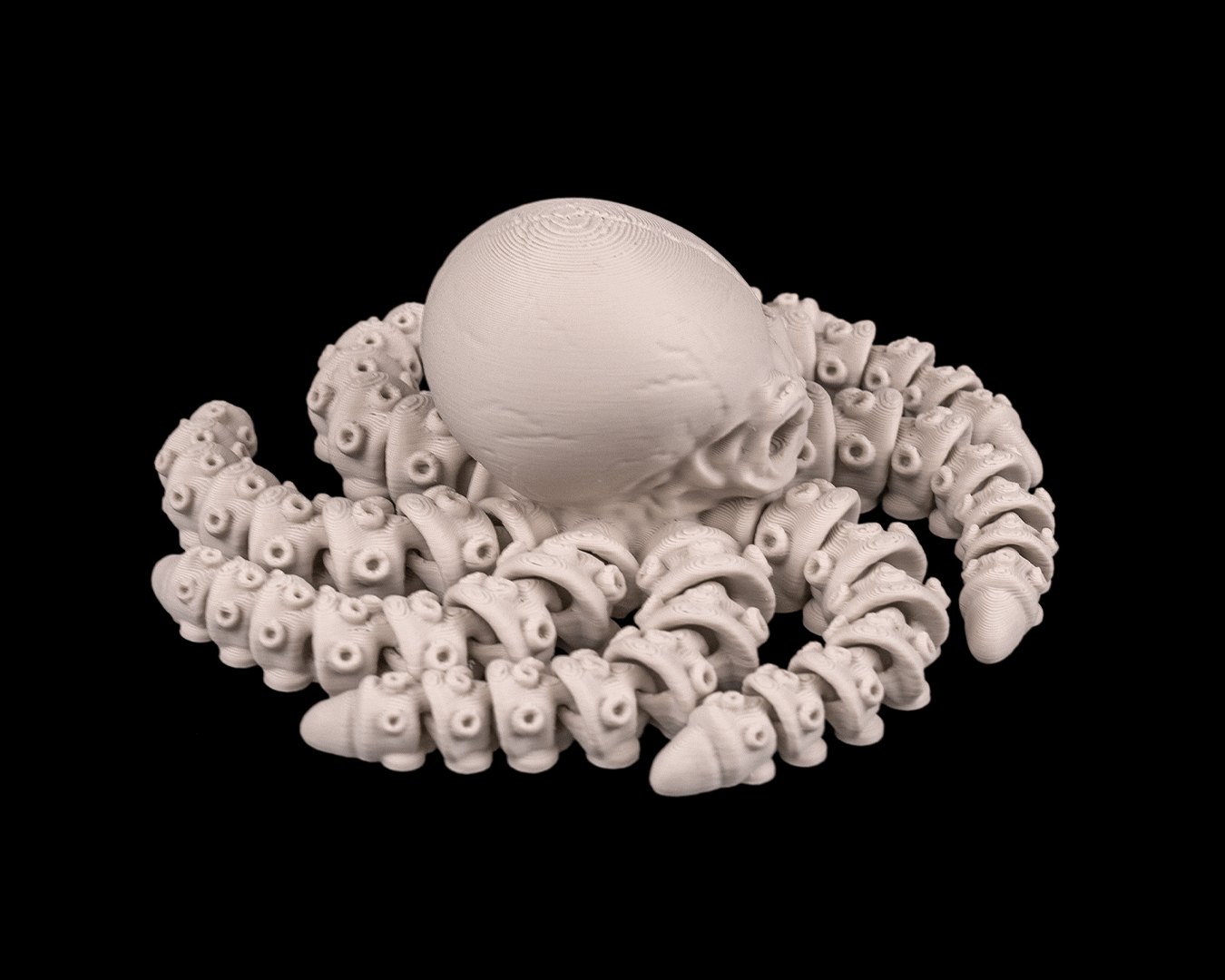 Skeleton Octopus – 3D Printed Ocean Skeleton Model