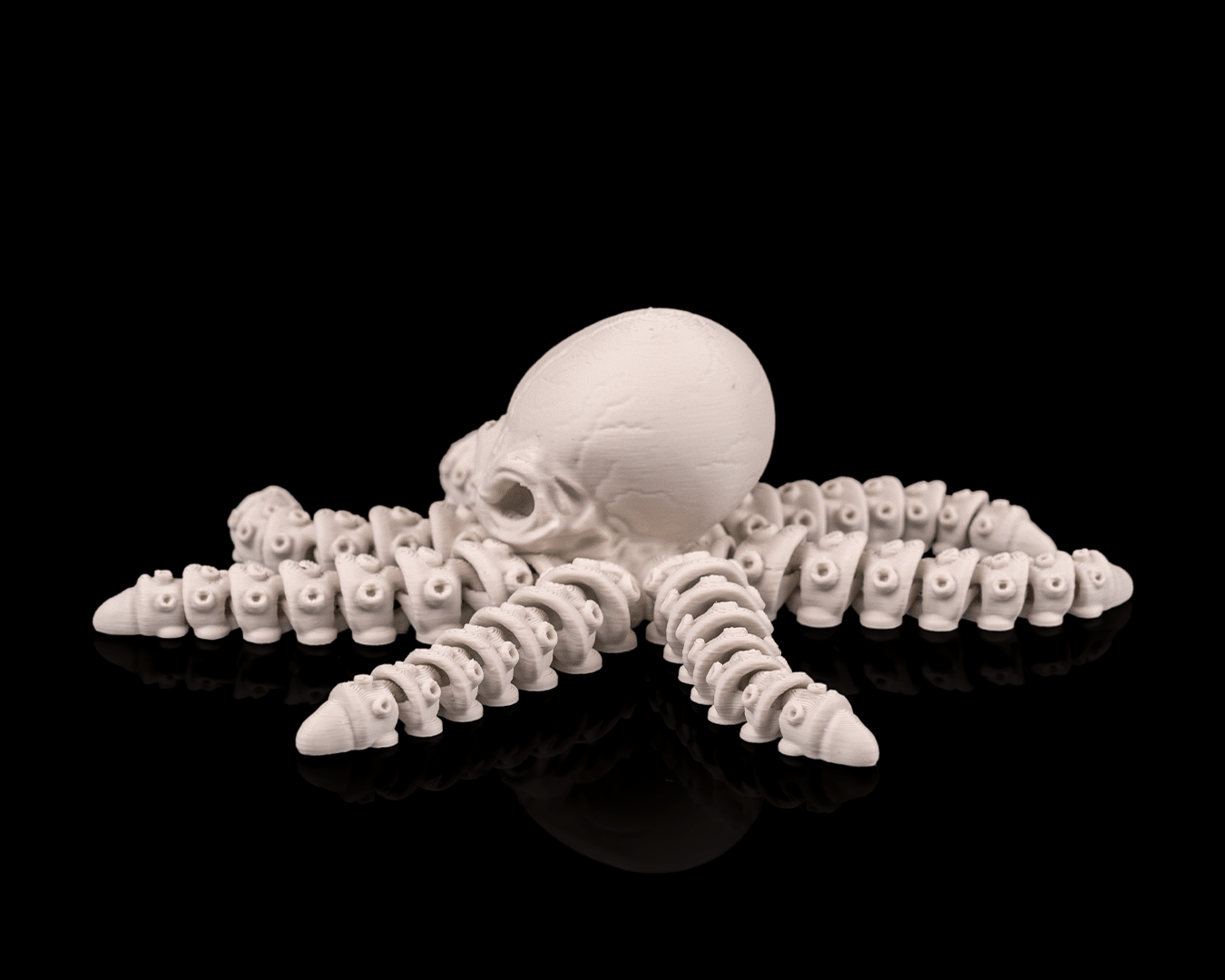 Skeleton Octopus – 3D Printed Ocean Skeleton Model