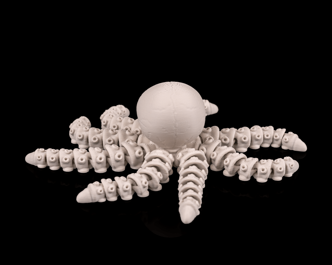 Skeleton Octopus – 3D Printed Ocean Skeleton Model