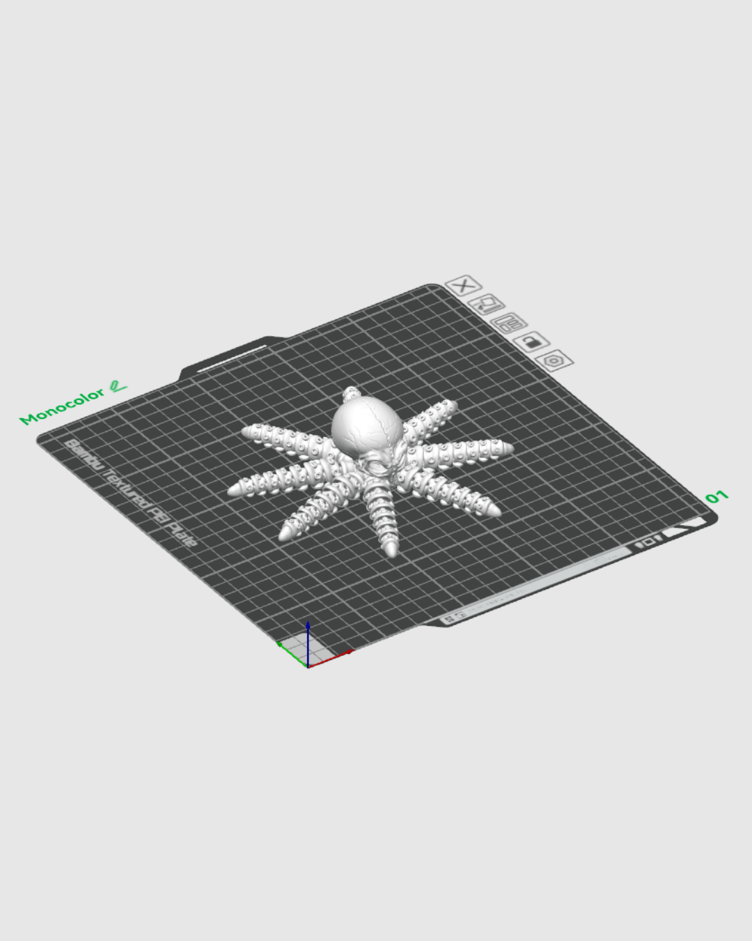 Skeleton Octopus – 3D Printed Ocean Skeleton Model