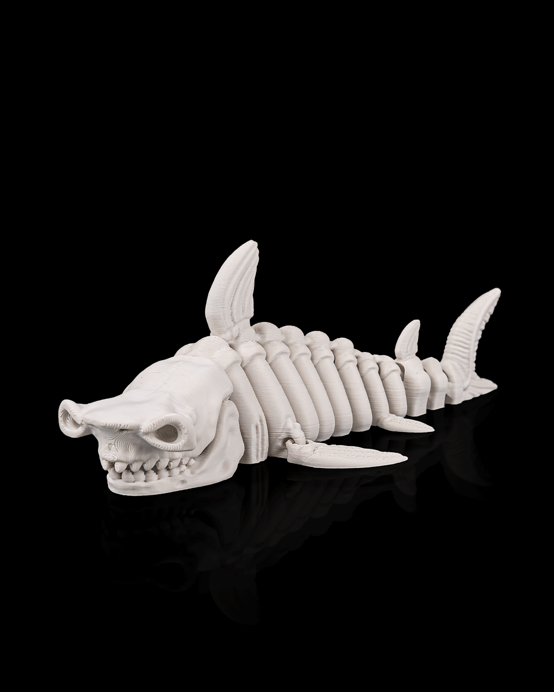 Skeleton Shark – 3D Printed Ocean Skeleton Model