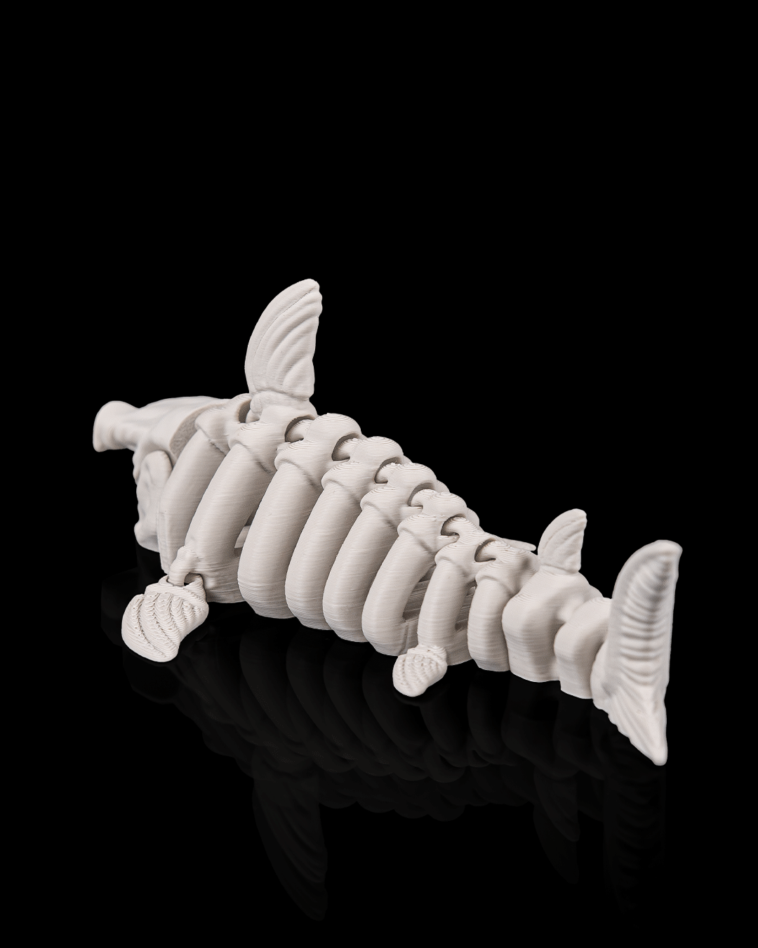 Skeleton Shark – 3D Printed Ocean Skeleton Model