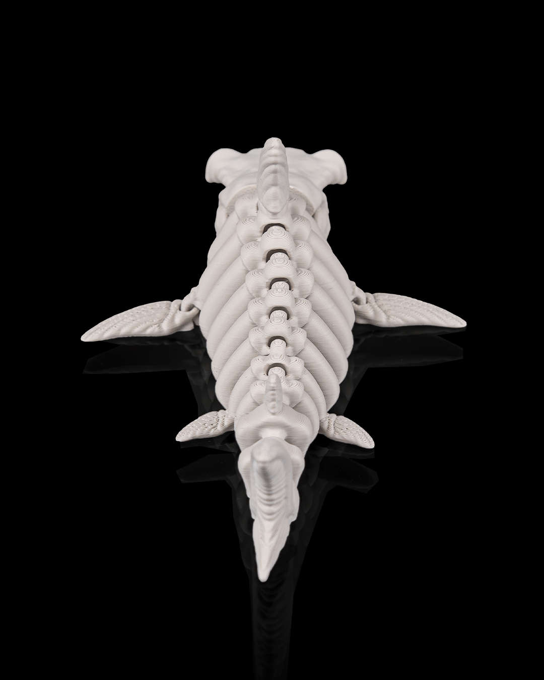 Skeleton Shark – 3D Printed Ocean Skeleton Model