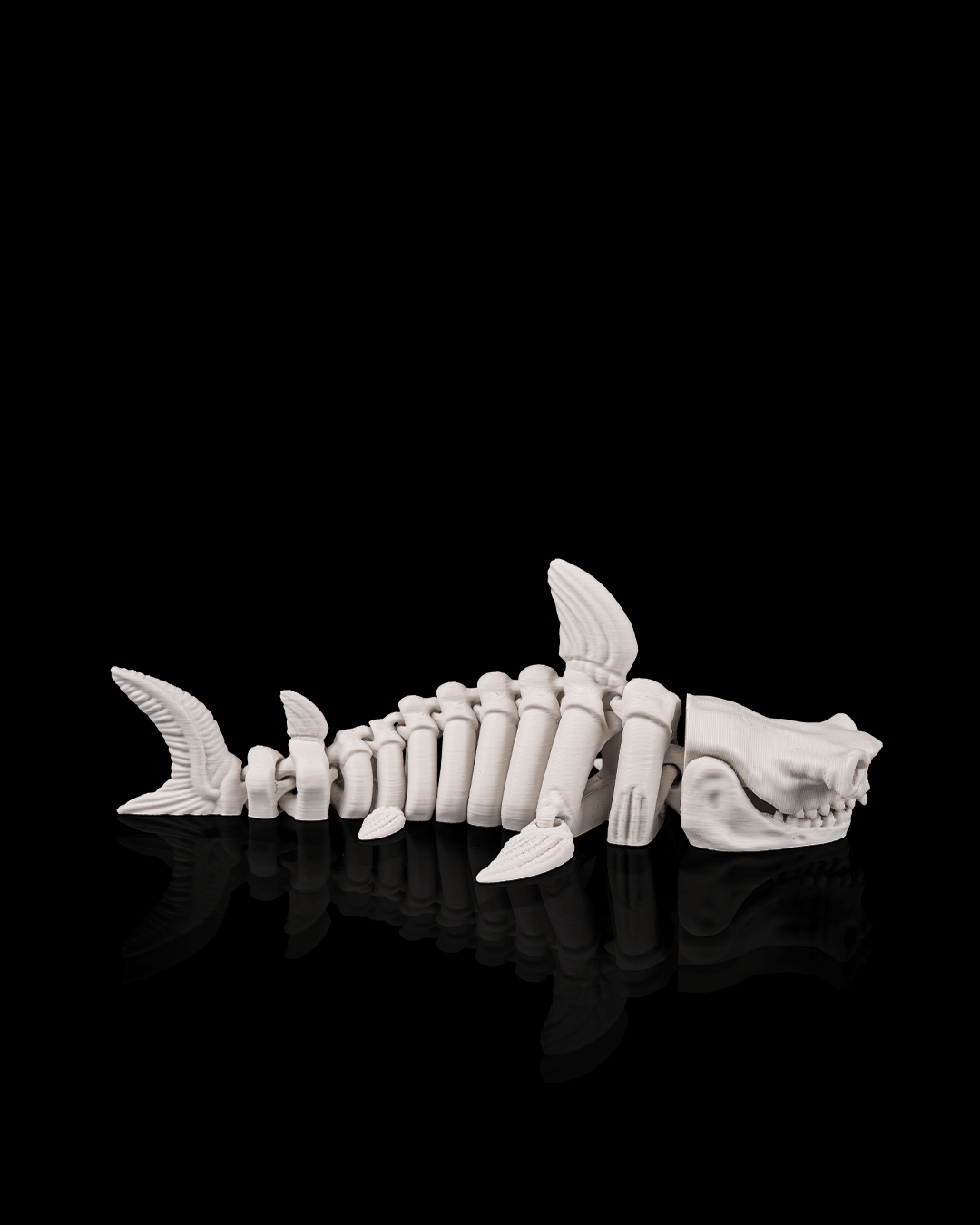 Skeleton Shark – 3D Printed Ocean Skeleton Model