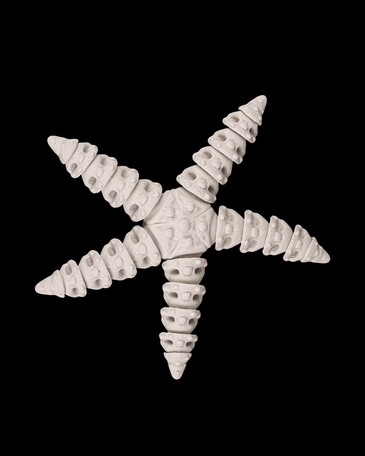 3D Printed, Skeleton Starfish, Starfish Model, Ocean Decor, Marine Life, Collectible, Aquarium Ready, Ottawa Made, Gift Idea, Handmade, Locally Made