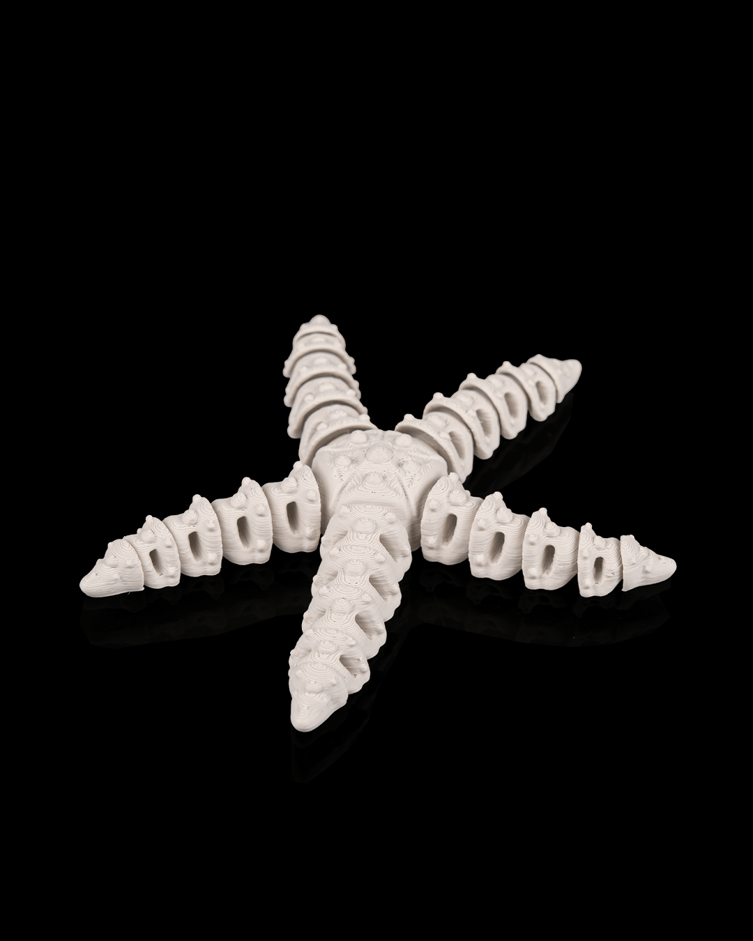 Skeleton Starfish – 3D Printed Ocean Skeleton Model