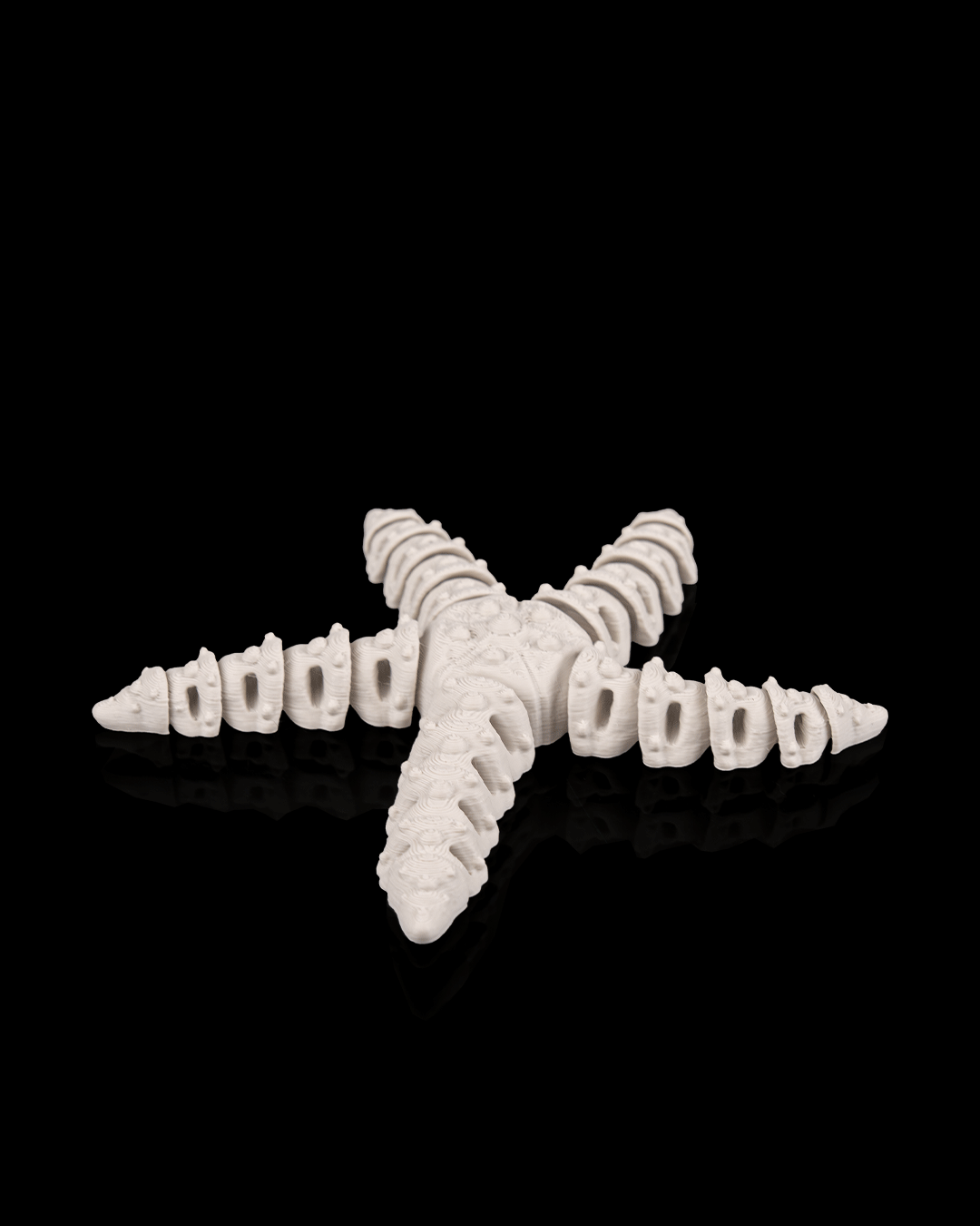 Skeleton Starfish – 3D Printed Ocean Skeleton Model